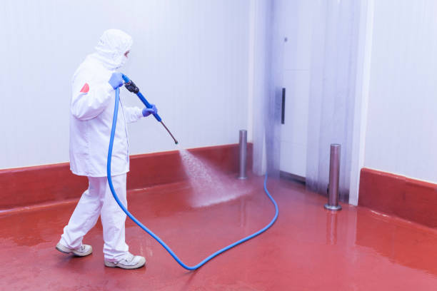 Best Patio and Deck Pressure Washing  in Blue Springs, MO